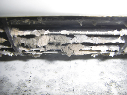 �����g��