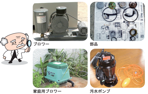 �u�����[�E�|���v